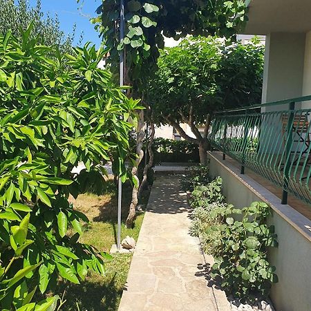 Apartman Maja Ζαντάρ Εξωτερικό φωτογραφία
